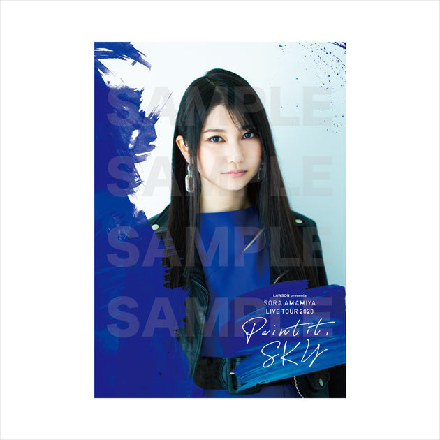 雨宮天 BEST LIVE TOUR SKY ライブパンフレット Amazon.co.jp: 雨宮天 BEST LIVE TOUR SKY ライブパンフレット