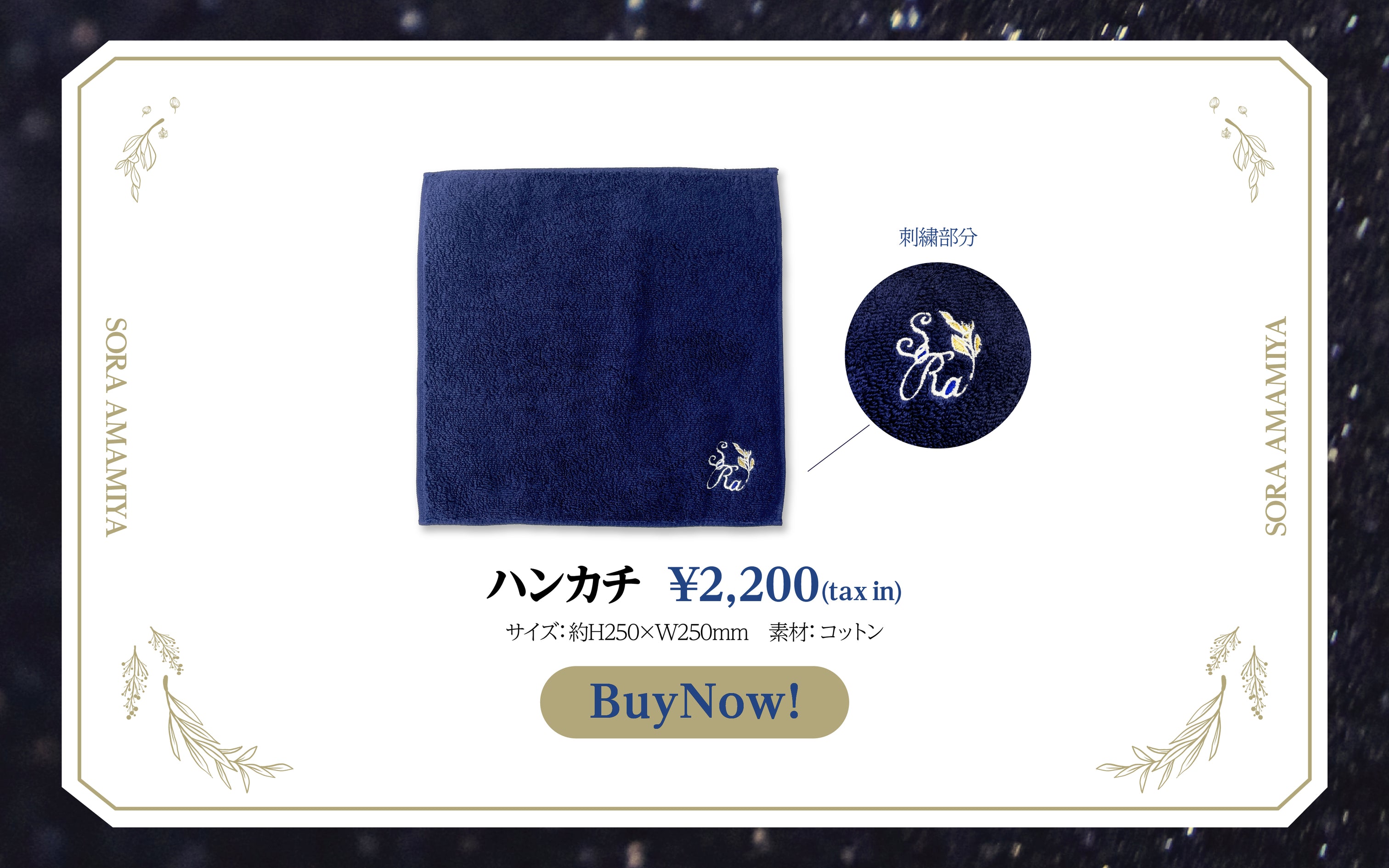 雨宮天 ディナーショー2023 – ミュージックレインモール