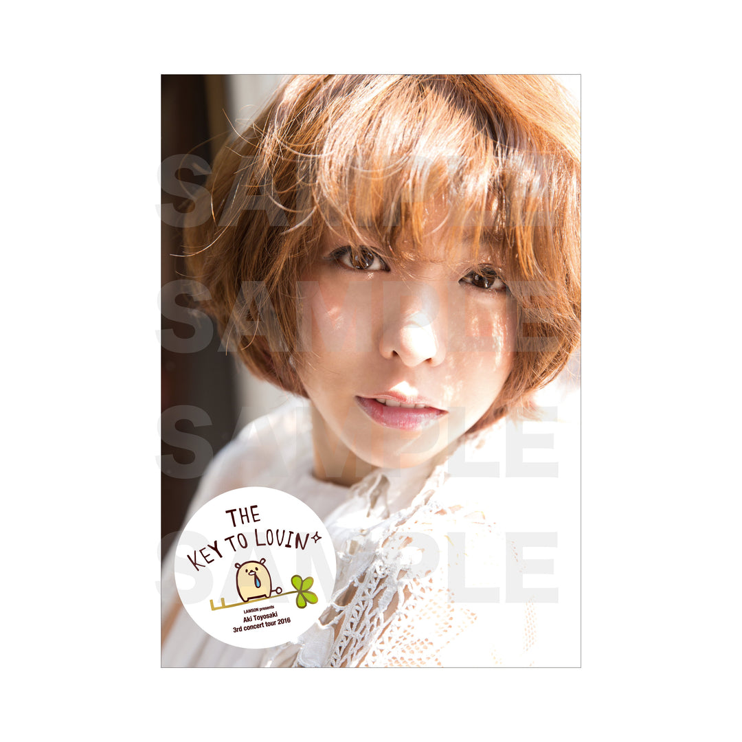 豊崎愛生/3rdコンサートツアー2016 The key to Lovin' kry-to-lovin__panh_1080x.jpg?v